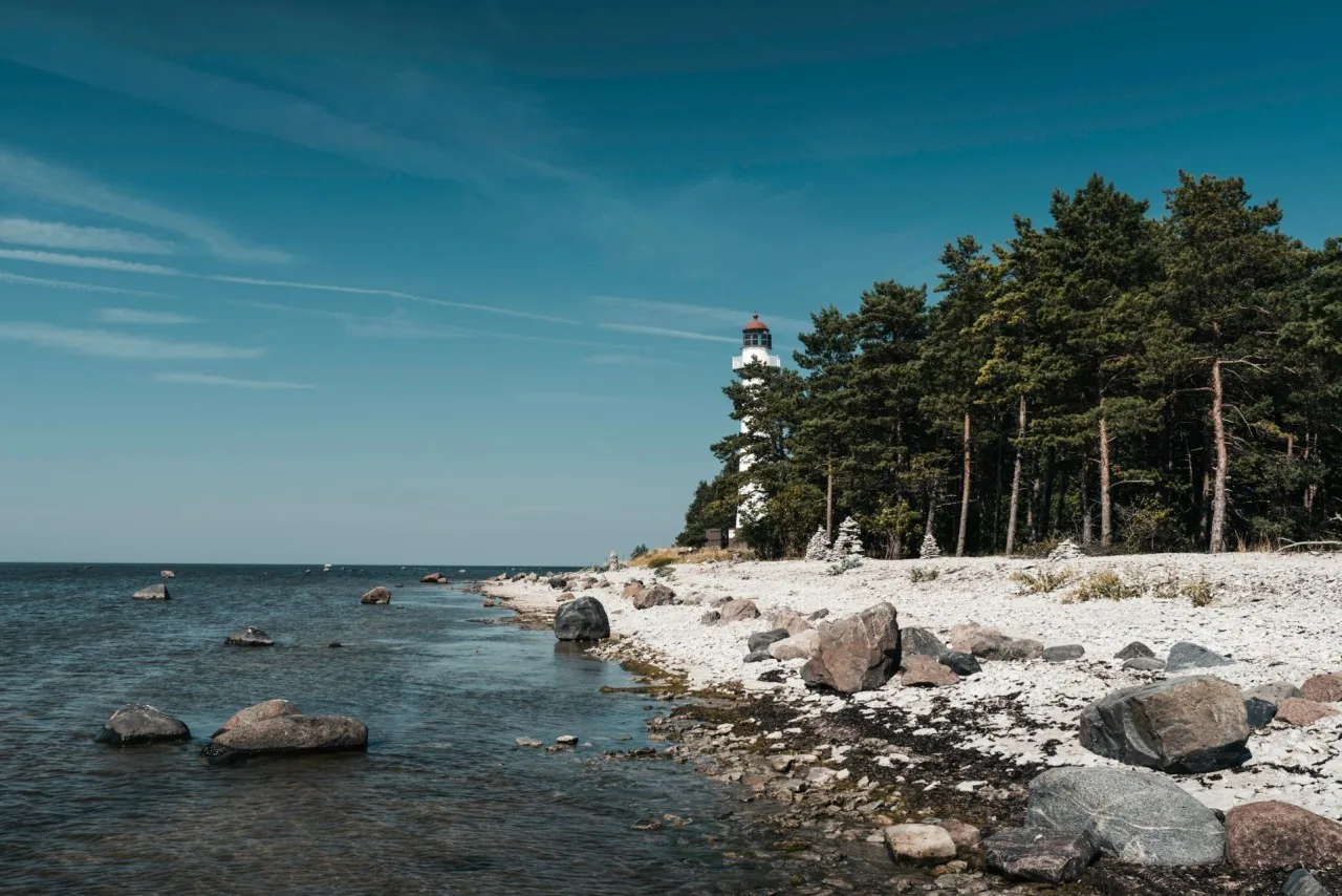 Tallinn'e Özgü Denemeniz Gereken 5 Tat! – Gezmek Sanattır <b>…</b>