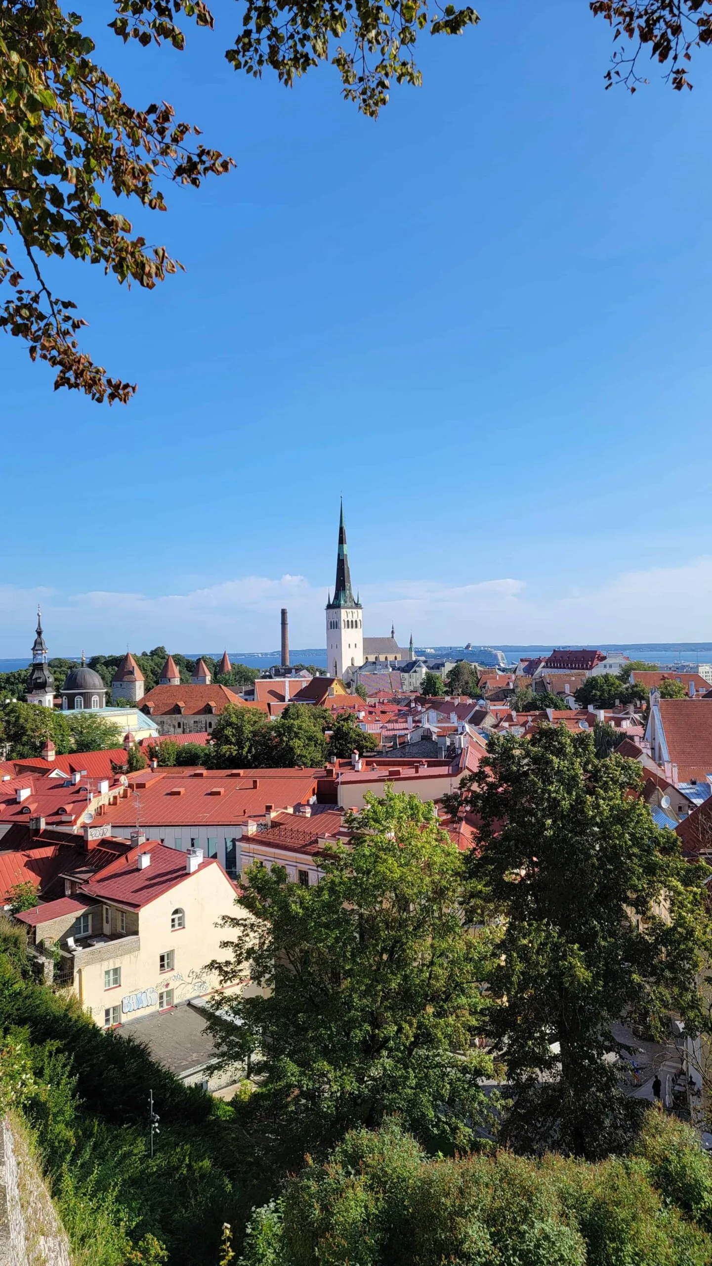 Tallinn’de Yapılacak En Güzel Şeyler: Masalsı Bir Baltık Macerası İçin Tam Rehber